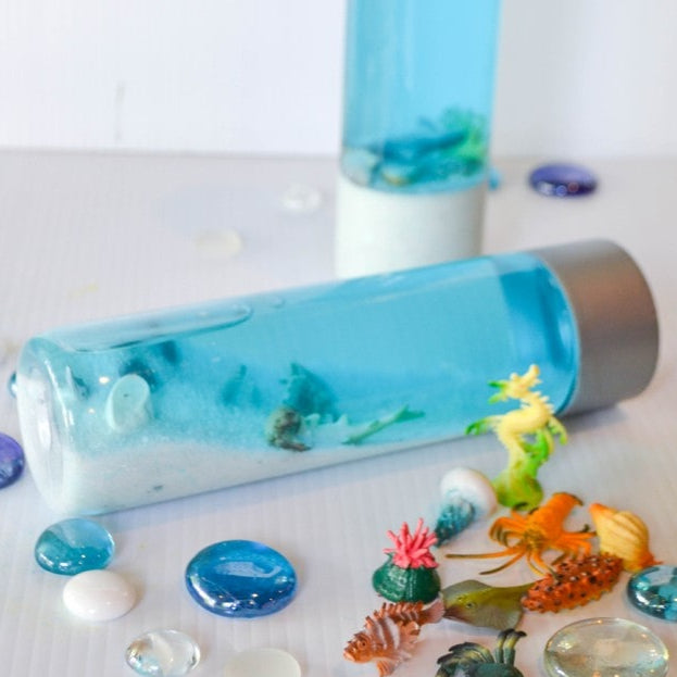 SEN Session Aquarium In A Bottle Workshop 20/08